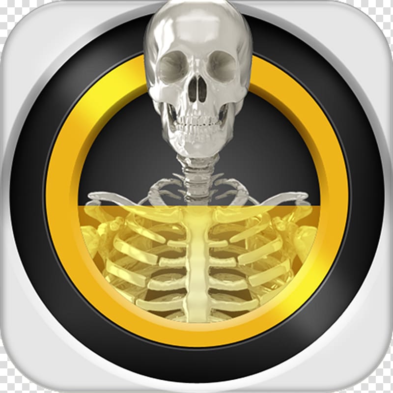 Real X-ray scanner simulator Backscatter X-ray Android, x-ray transparent background PNG clipart