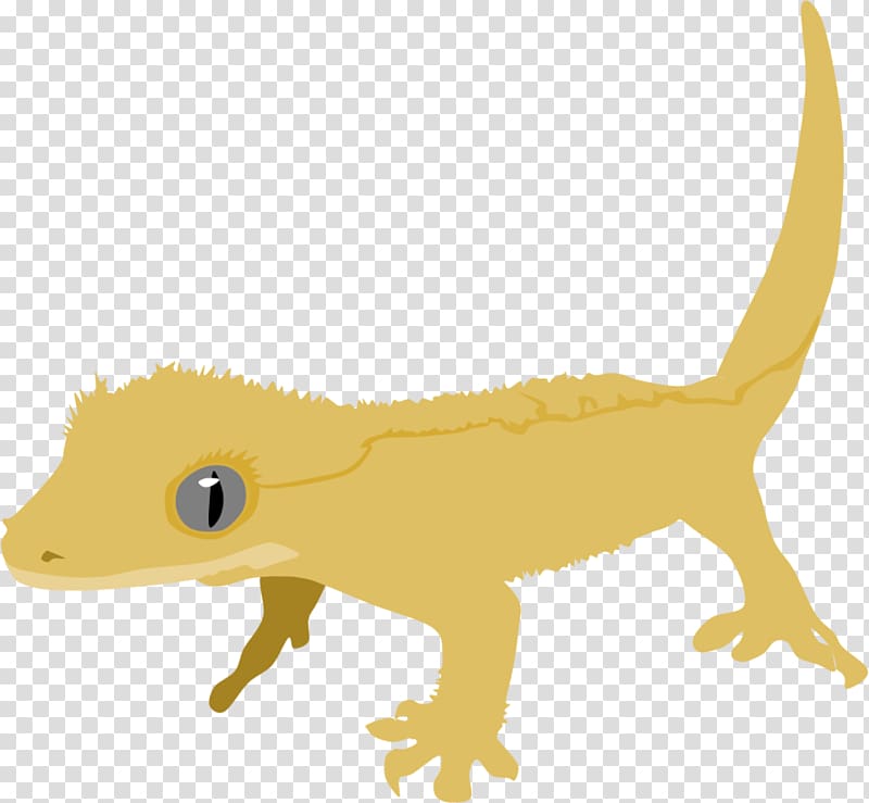 Reptile Crested gecko Lizard Drawing, lizard transparent background PNG clipart