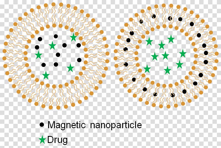 Drug delivery Hyperthermie magnétique Research Hyperthermia therapy Magnetic nanoparticles, drug-delivery transparent background PNG clipart