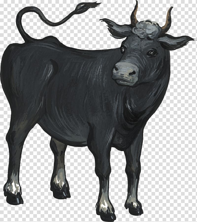 Cattle Ox Bull Live, clarabelle cow transparent background PNG clipart