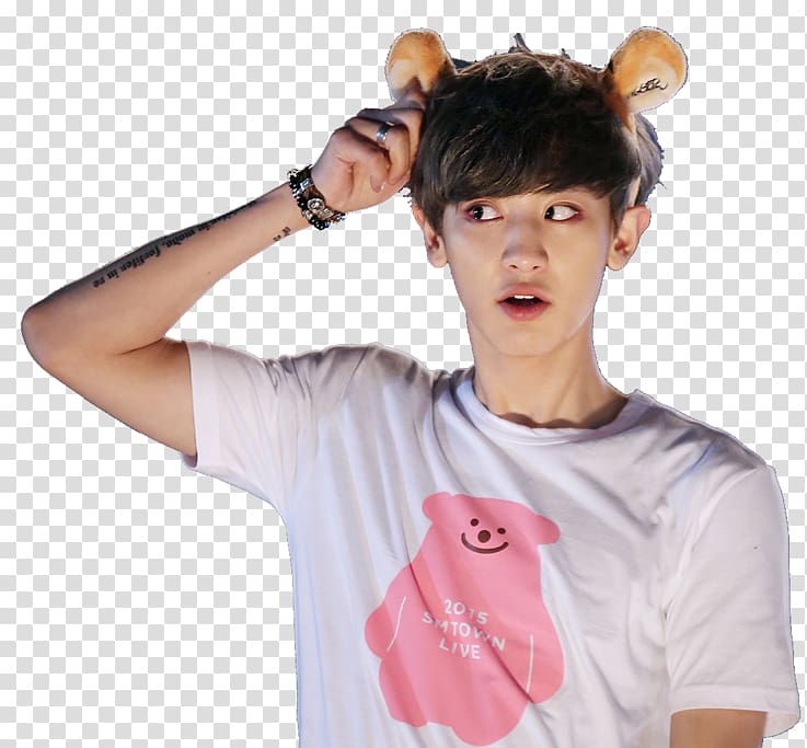 Chanyeol EXO Next Door Sticker SMTOWN Live World Tour IV, Mamamoo transparent background PNG clipart