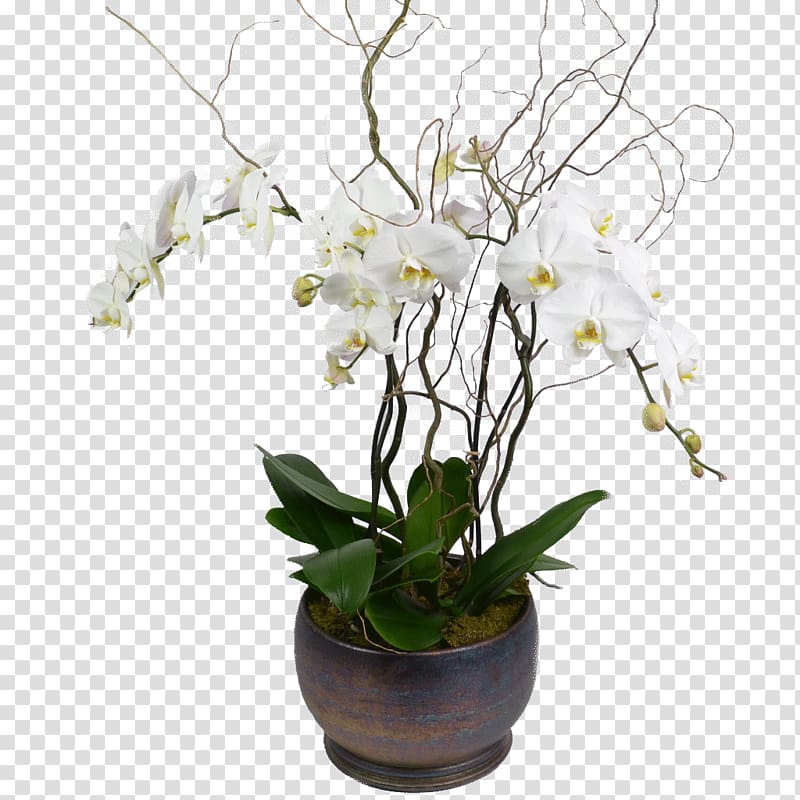 Artificial flower Vase Floristry Floral design, orchid transparent background PNG clipart