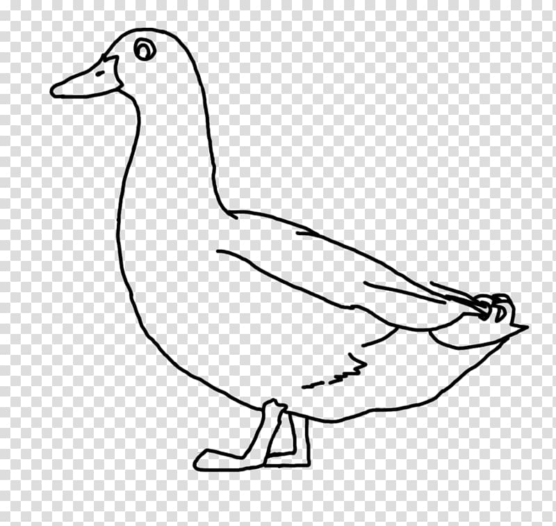 Donald Duck Drawing Line art , line drawing transparent background PNG clipart