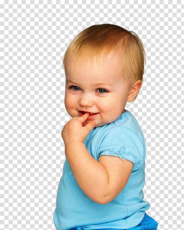 Infant Child Desktop Poppies Bistrot, baby's breath transparent background PNG clipart