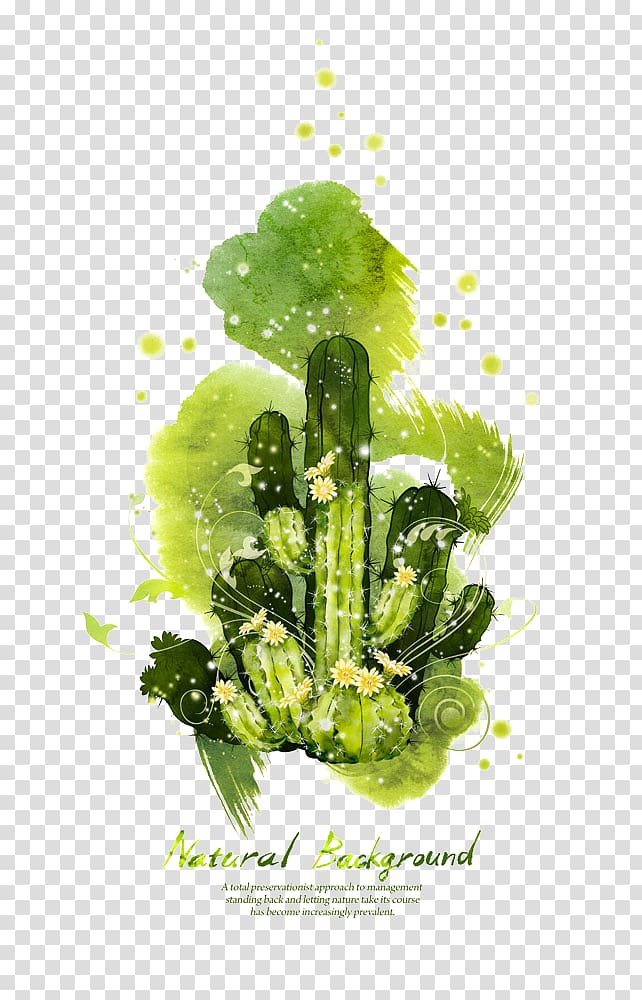 Cactaceae Cdr Illustration, Cactus background transparent background PNG clipart