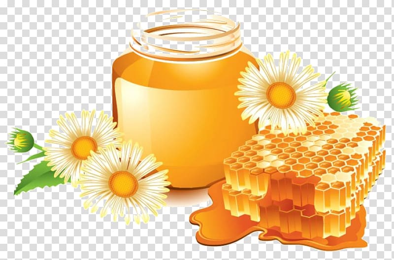 Savior of the Honey Feast Day Atherosclerosis Beekeeping Information, honey transparent background PNG clipart