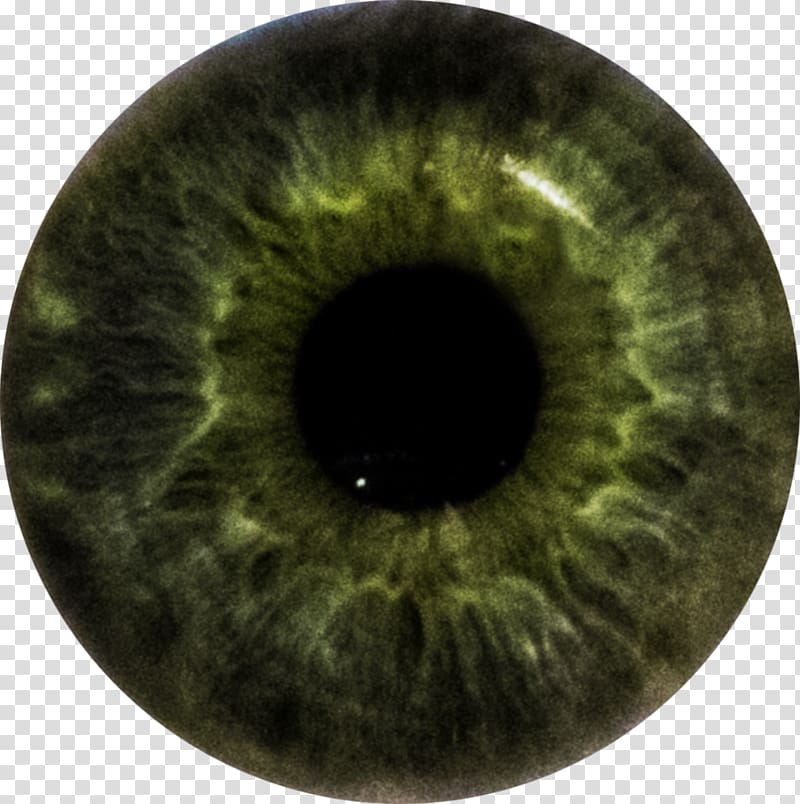 Iris Eye color Human eye, Eye transparent background PNG clipart