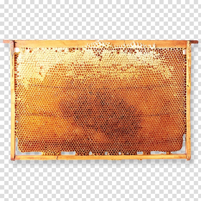 Beekeeper Honeycomb Hive frame, bee transparent background PNG clipart