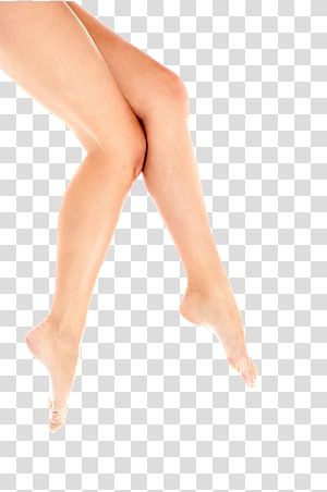 Person's legs illustration, Leg Woman, Legs Women \'s Legs Legs Walking ...