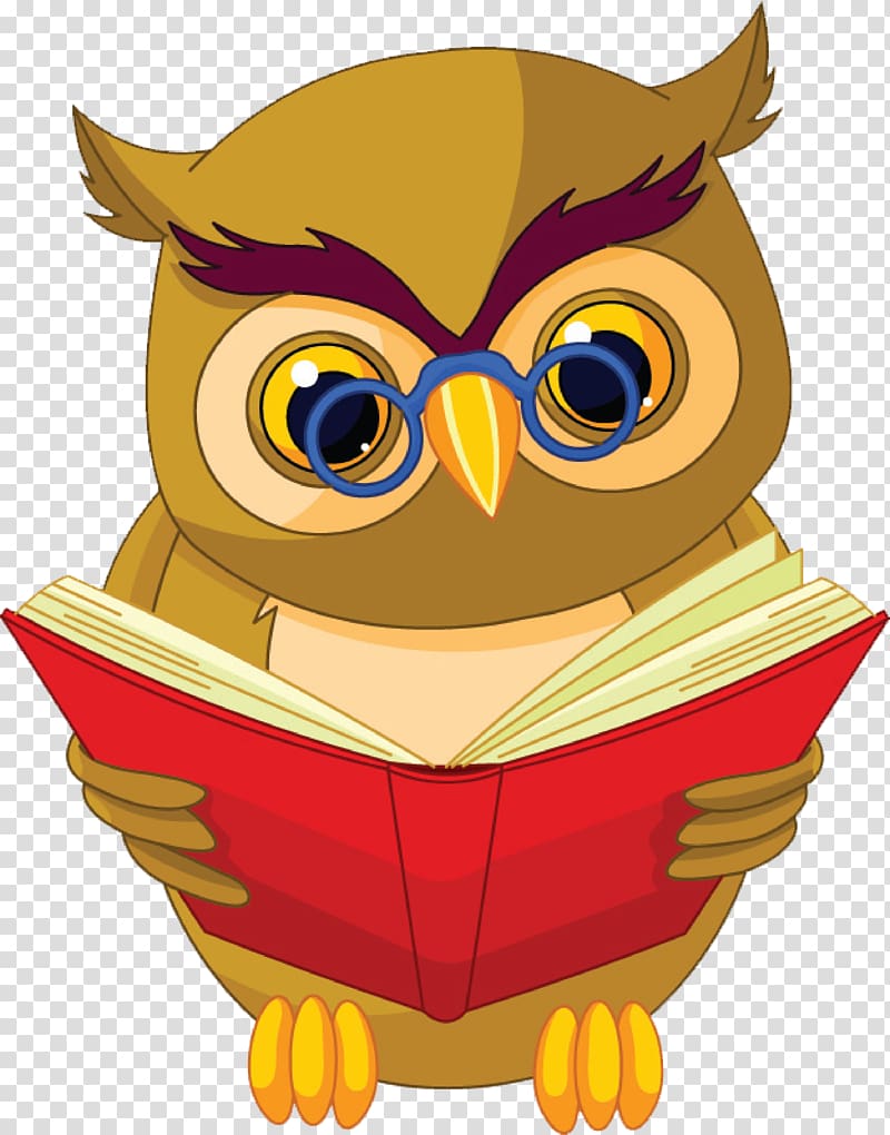 owl reading illustration, Owl Book , Owl will read transparent background PNG clipart