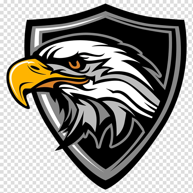 Bald Eagle, eagle transparent background PNG clipart
