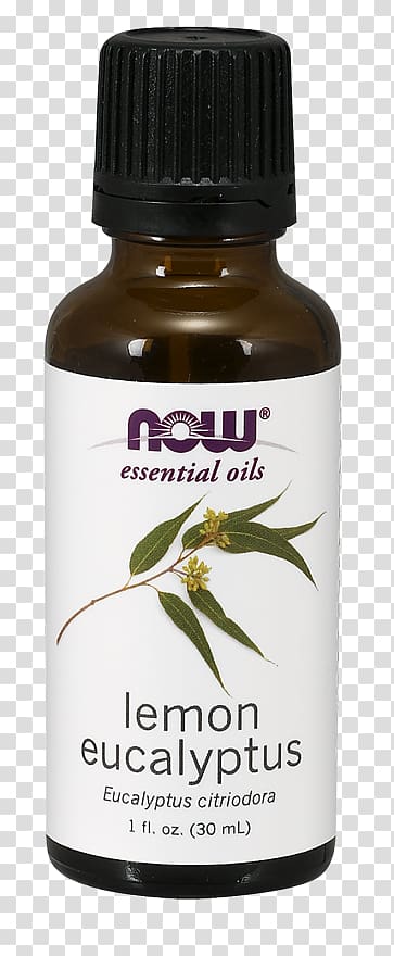 Essential oil Cedar oil Ylang-ylang Eucalyptus oil, oil transparent background PNG clipart
