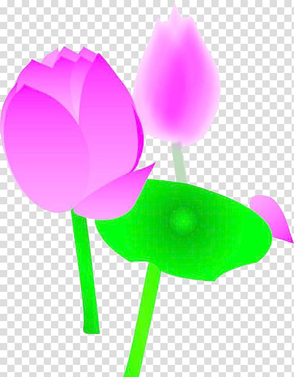 , Hand-painted lotus FIG. transparent background PNG clipart