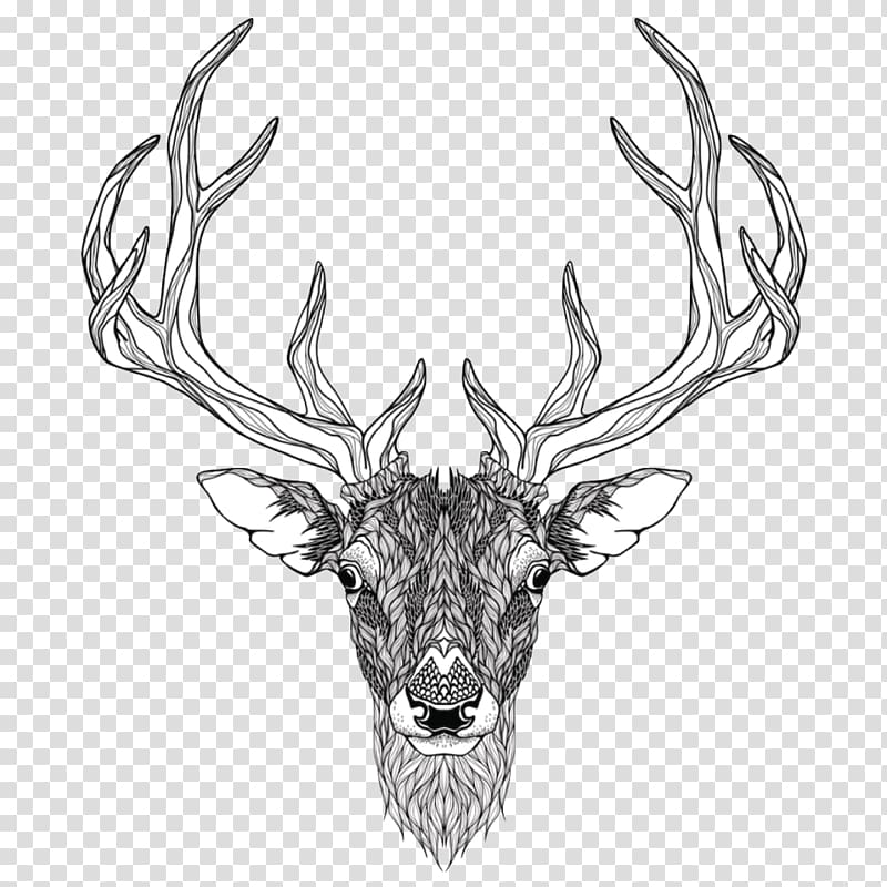 Red deer Abziehtattoo Elk, deer totem transparent background PNG clipart