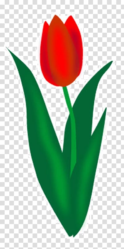 Tulip , tulip transparent background PNG clipart