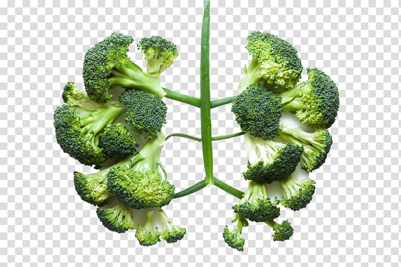 Lung Health Vegetable Broccoli Disease, Healthy vegetable broccoli transparent background PNG clipart