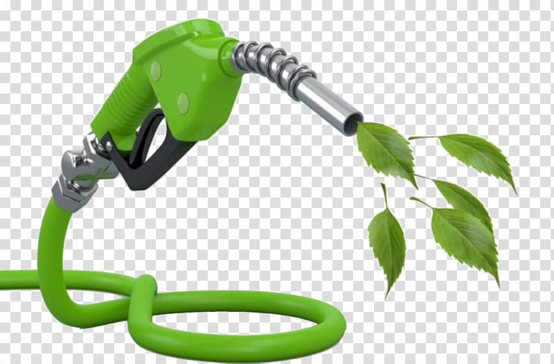Biofuel Renewable energy Biodiesel Energy development, bio fuel transparent background PNG clipart