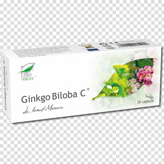 Ginkgo biloba Plant Damiana Ingredient Elecampane, ginkgo-biloba transparent background PNG clipart