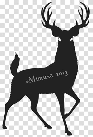White-tailed deer Reindeer Red deer Hunting, deer transparent background PNG clipart thumbnail