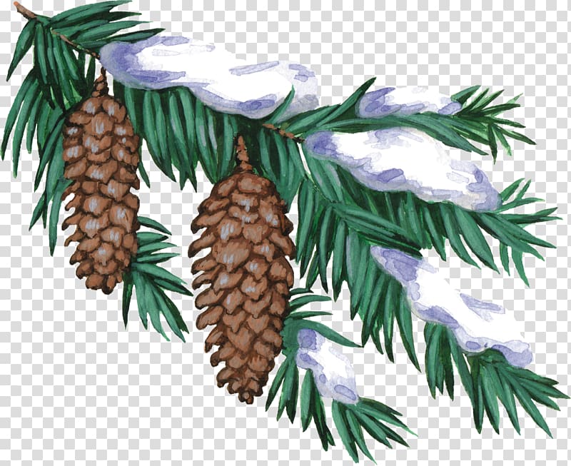 Christmas Winter New Year tree Albom , pine cone transparent background PNG clipart