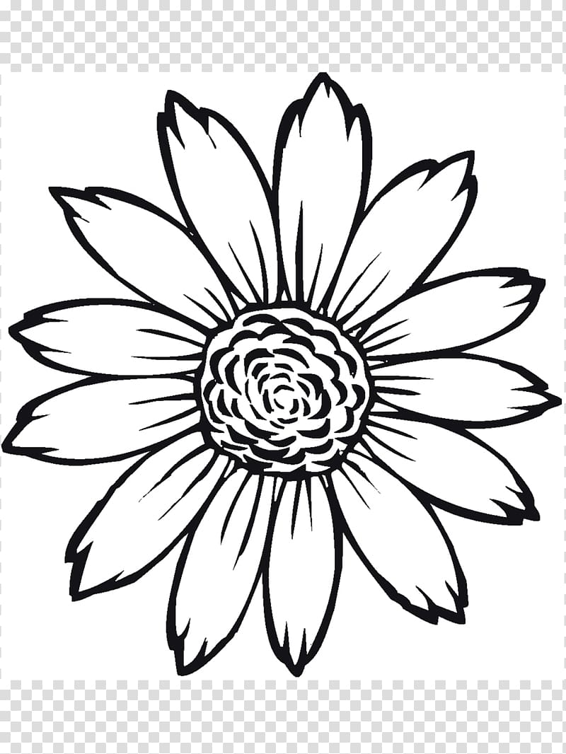 Coloring book Common sunflower Light, drawing of sunflower transparent background PNG clipart