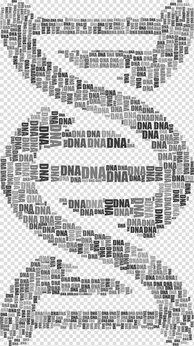DNA Biology Nucleic acid double helix Gene, transparent background PNG clipart