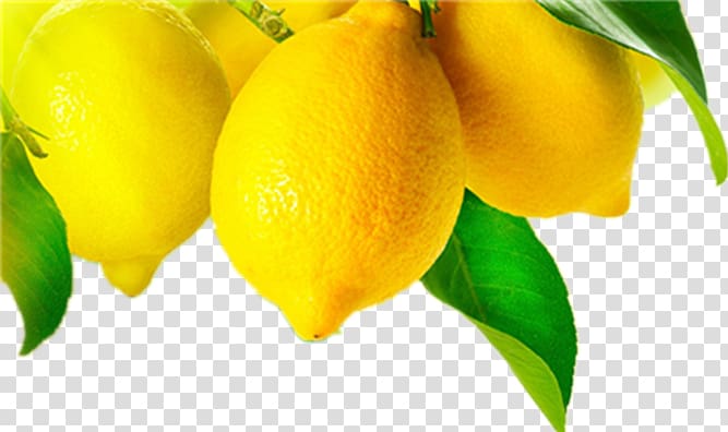 Grapefruit juice Meyer lemon Fruit tree, Yellow grapefruit transparent background PNG clipart