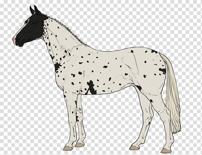 Pony Mustang Foal Stallion Mare, Spot The Difference transparent background PNG clipart