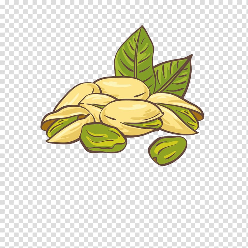 Pistachio ice cream Nut Illustration, Painted fresh pistachios transparent background PNG clipart