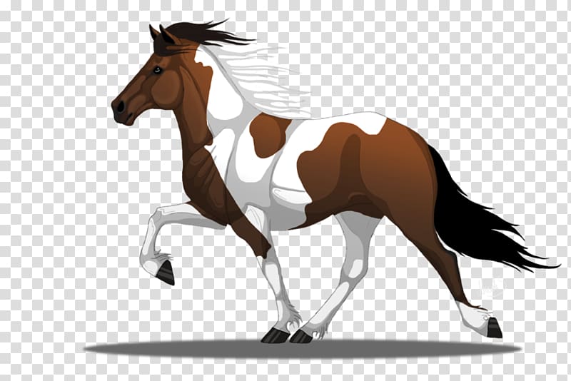 Pony Foal Icelandic horse Mustang Stallion, mustang transparent background PNG clipart