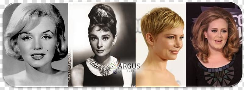 Audrey Hepburn Eyebrow Hair coloring Breakfast at Tiffany's, hair transparent background PNG clipart