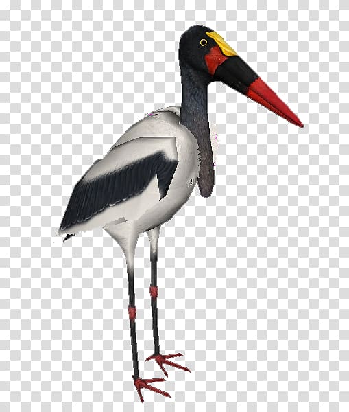 White stork Zoo Tycoon 2 Saddle-billed stork Yellow-billed stork, stork transparent background PNG clipart
