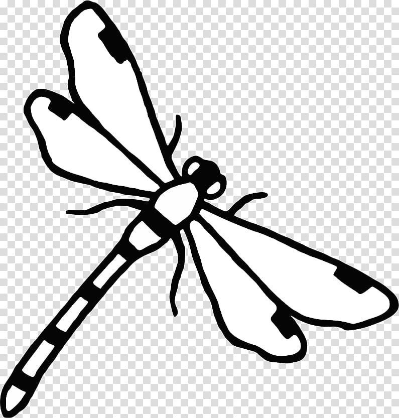 School Insect Label, dragon fly transparent background PNG clipart