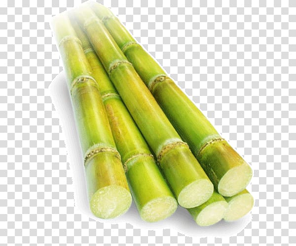 sugar cane png