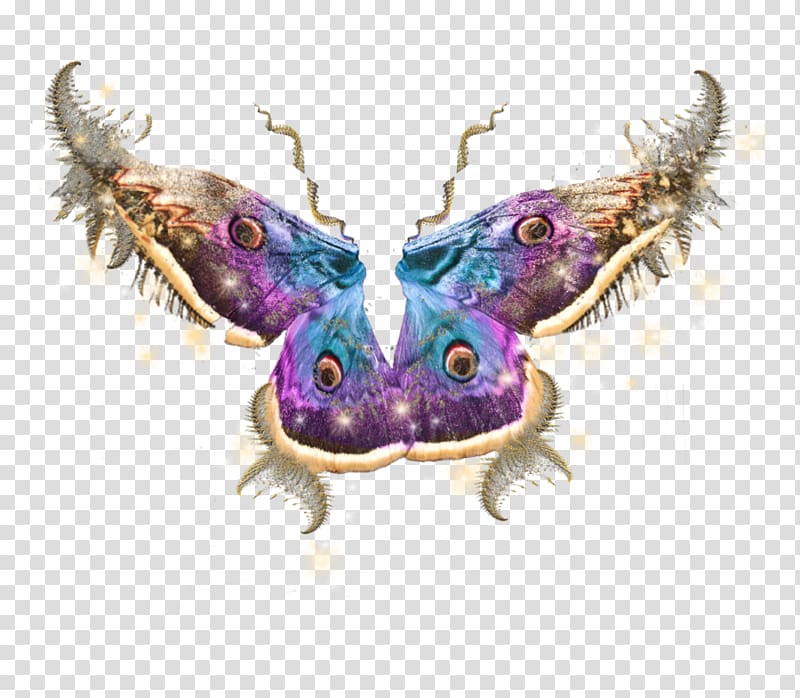 Butterfly Tooth Fairy Portable Network Graphics , painting autumn fairy wings transparent background PNG clipart