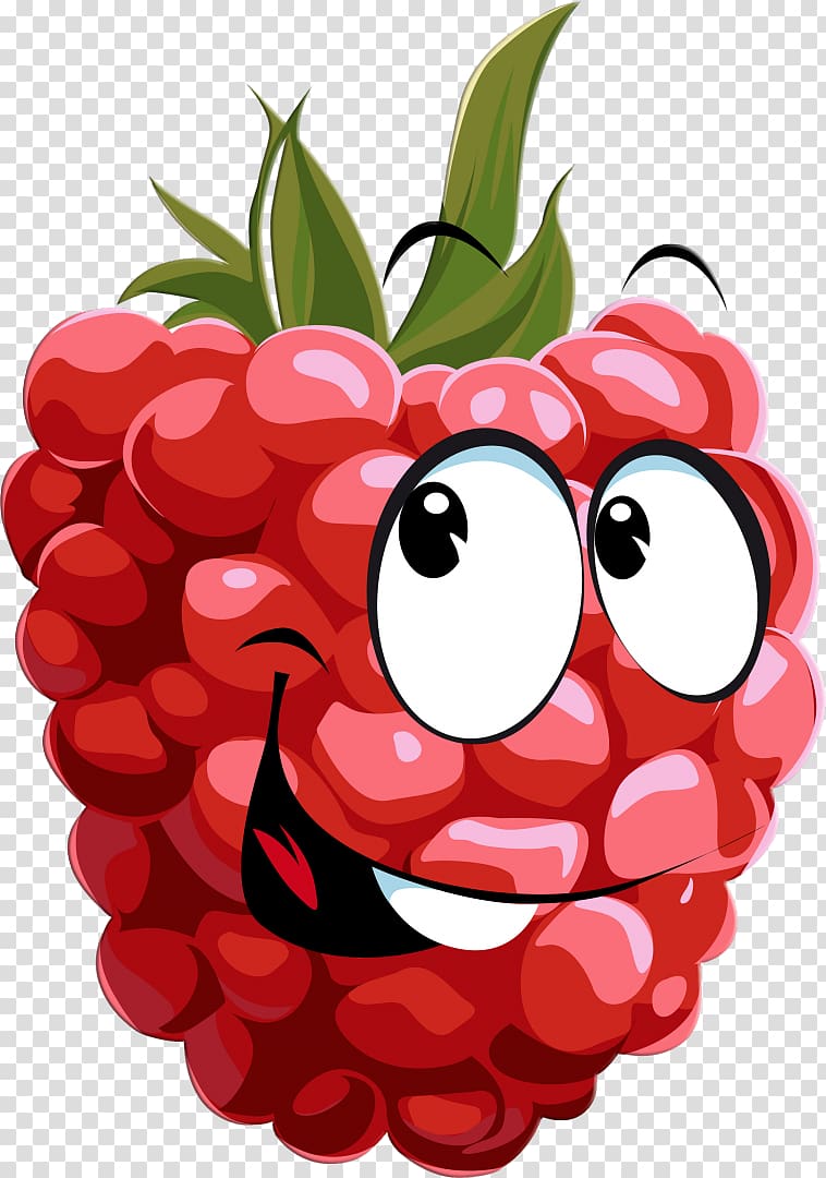 Raspberry Drawing , raspberries transparent background PNG clipart