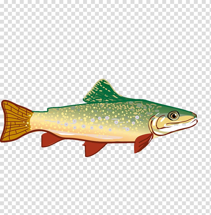 Rainbow trout , Hand-painted small fish transparent background PNG clipart
