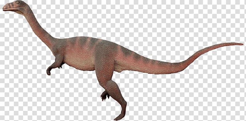 Plateosaurus Anchisaurus Velociraptor Chirostenotes Dinosaur, dinosaur transparent background PNG clipart