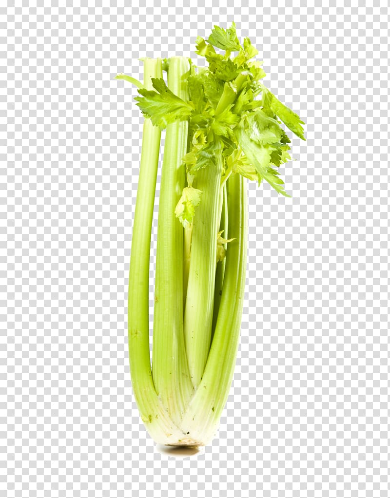 Wild celery Leaf vegetable Food, vegetable transparent background PNG clipart