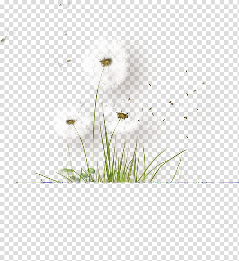 Petal Flora Tile Pattern, White dandelion transparent background PNG clipart