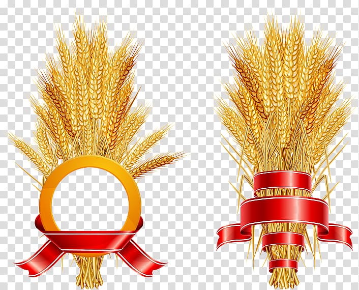 Common wheat Label Ear Wheat yellow rust, Golden + Barley + Agriculture + Decoration transparent background PNG clipart