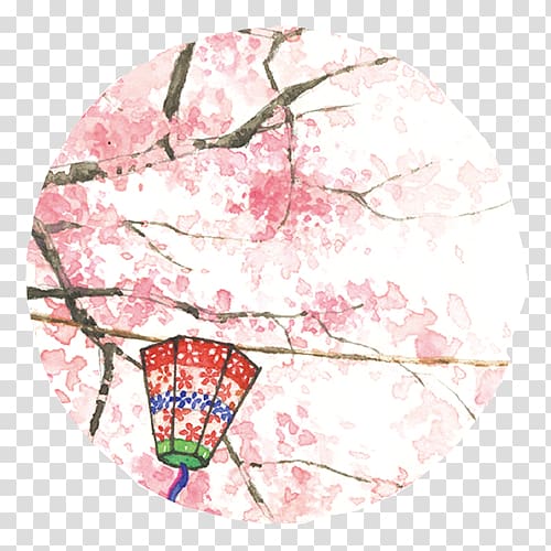 National Cherry Blossom Festival Pink Cerasus, Pink cherry blossoms transparent background PNG clipart