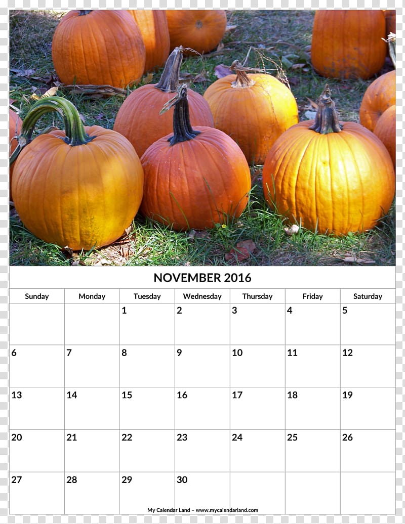 New Hampshire Pumpkin Festival Autumn Cucurbita pepo Jack-o\'-lantern, november calendar transparent background PNG clipart