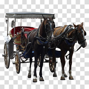 cinderella carriage horse and buggy wagon cinderella transparent background png clipart hiclipart cinderella carriage horse and buggy