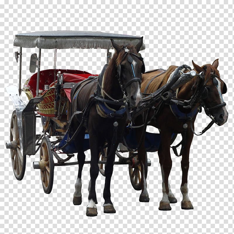 Mule Horse Harnesses Horse and buggy Carriage, carriage horse transparent background PNG clipart
