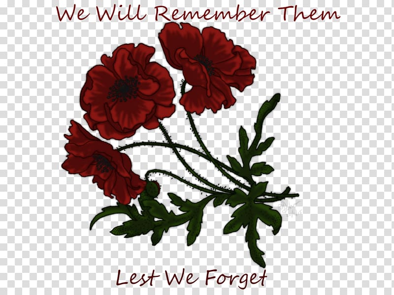 Lest We Forget: Forgotten Voices from 1914-1945 Drawing , flower transparent background PNG clipart