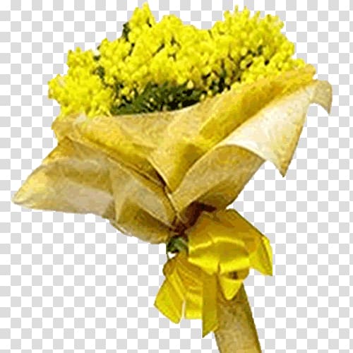 Acacia dealbata Cut flowers Rose International Women\'s Day, mimosa transparent background PNG clipart