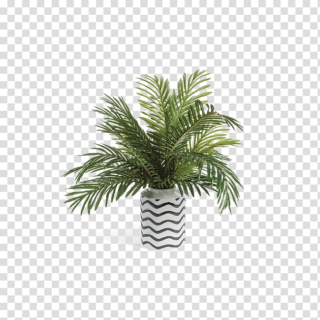 Date palm Vase Arecaceae Flowerpot Houseplant, date palm transparent background PNG clipart