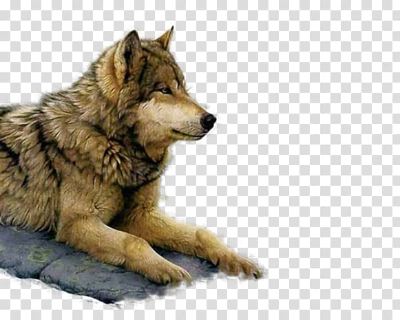 Painting Art museum Gray wolf Paint by number, painting transparent background PNG clipart