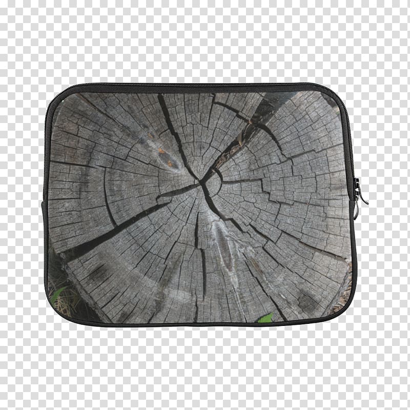 Wood Tree /m/083vt Rectangle, Dry trees transparent background PNG clipart